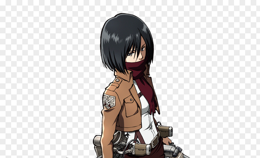 Mikasa Ackerman Attack On Titan Seiyu Black Hair Brown PNG