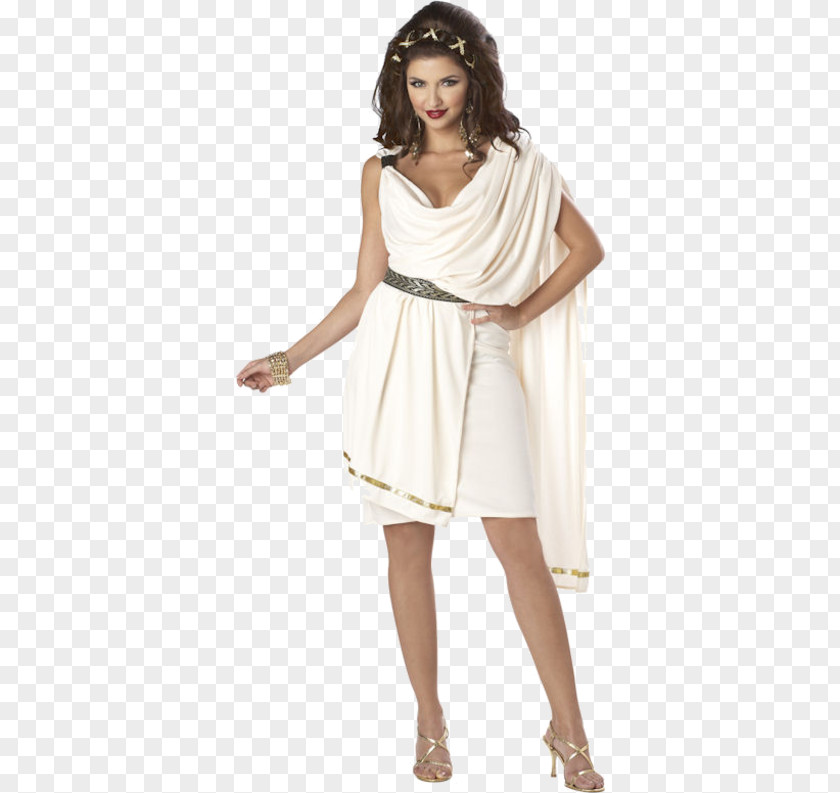 Toga Ancient Rome Costume Party Clothing PNG