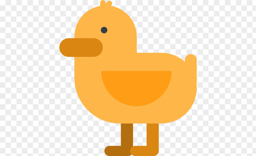 Animal Collection Duck Drawing Clip Art PNG