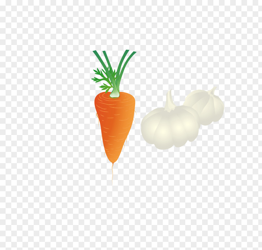 Carrots Ingredients Carrot Ingredient Garlic PNG