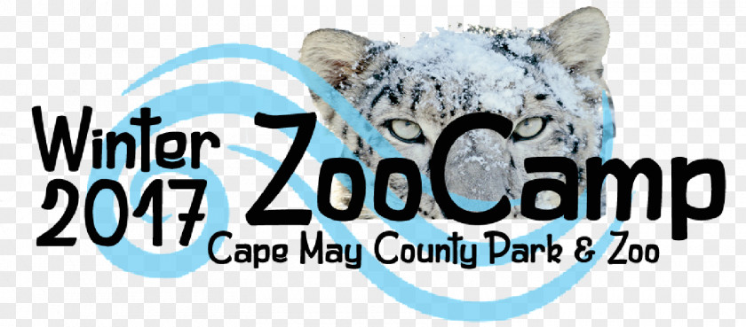 Cat Cape May County Park & Zoo Durrell Wildlife ZooTampa At Lowry PNG