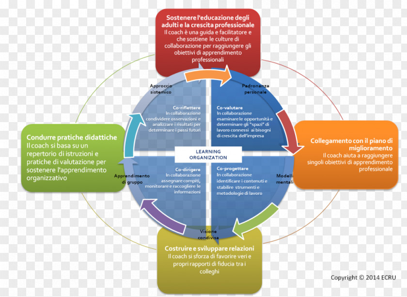 Design Brand Diagram PNG