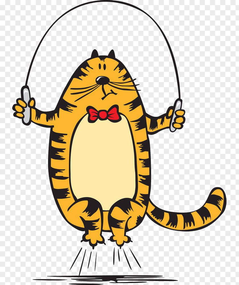 Tigers Jump Rope Cartoon Ropes Drawing Jumping PNG