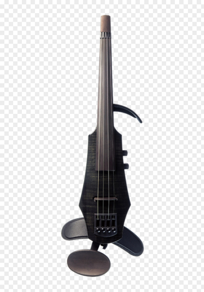Electric Violin Bass Guitar String PNG