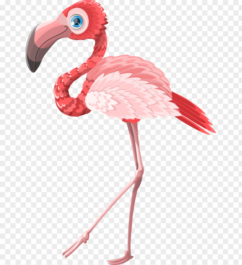 Hand-painted Cartoon Animal Standing Flamingo Postcard Pink Greeting Card PNG