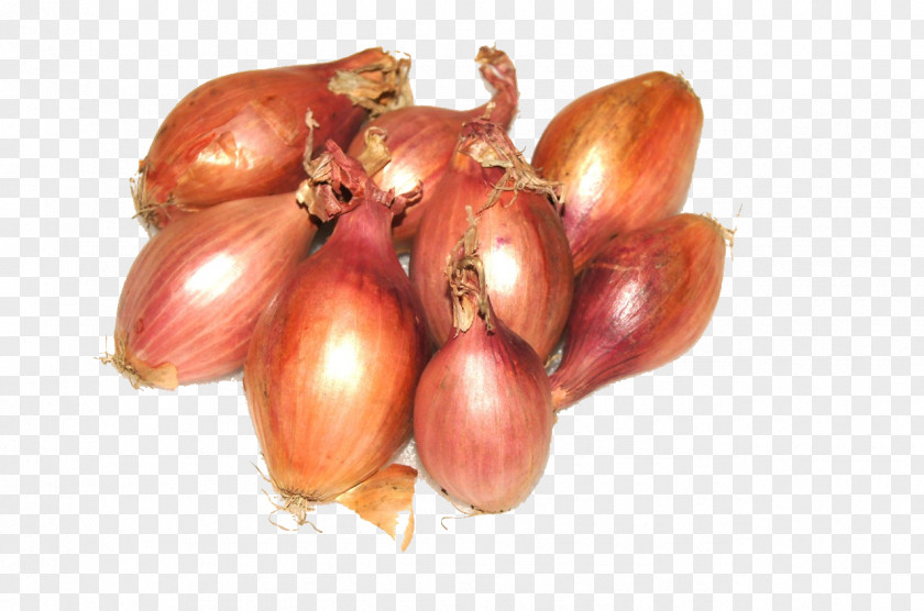 Onions Shallot Yellow Onion Natural Foods Red PNG