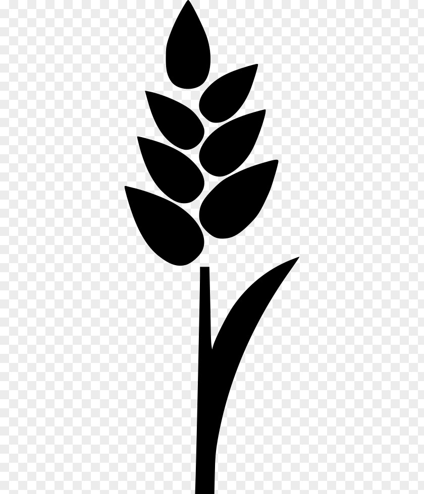 Rice Cereal Wheat Clip Art PNG
