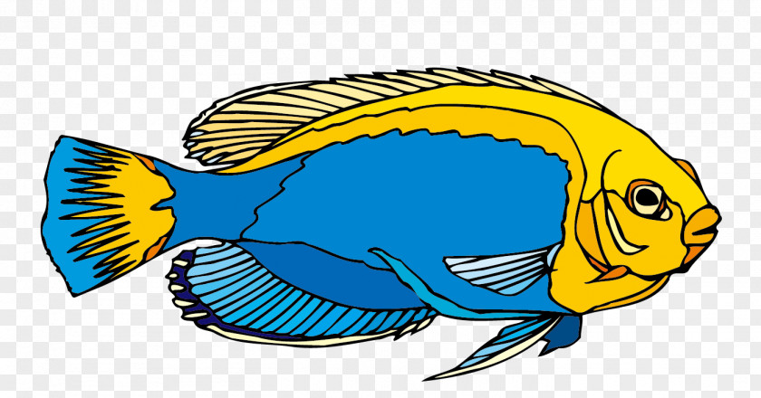 Stock Vector Blue Ornamental Fish Freshwater Angelfish Clip Art PNG