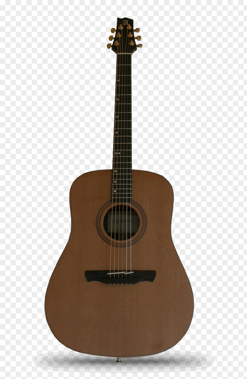 Acoustic Guitar Acoustic-electric Tiple Bass Cuatro PNG