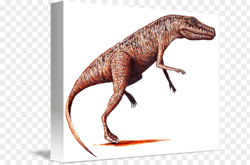 Archosaur Tyrannosaurus Velociraptor Terrestrial Animal PNG