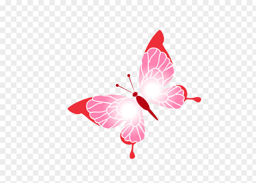 Butterfly Text Illustration PNG