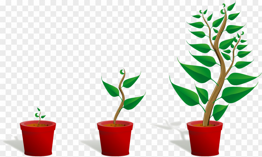 Cartoon Plants United States Student Pre-school Learning Teacher PNG