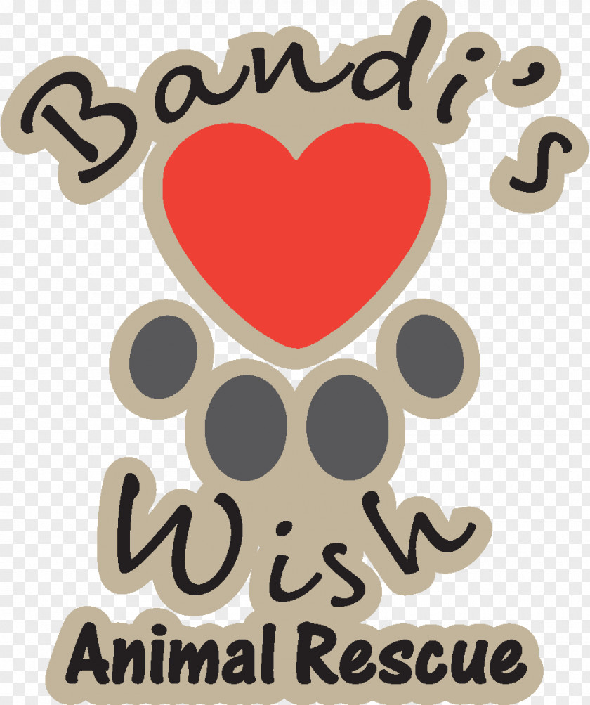 Dog Animal Rescue Group Pet Adoption PNG
