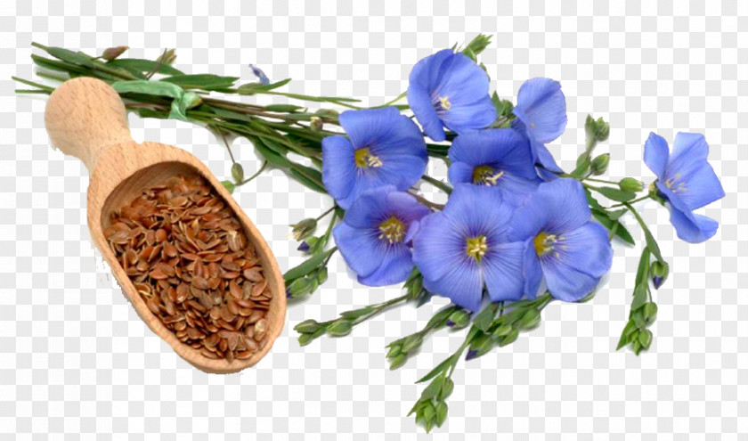 Hi Dry And Cool Climate Flax Lignan Plant Secoisolariciresinol Diglucoside Linseed Oil PNG