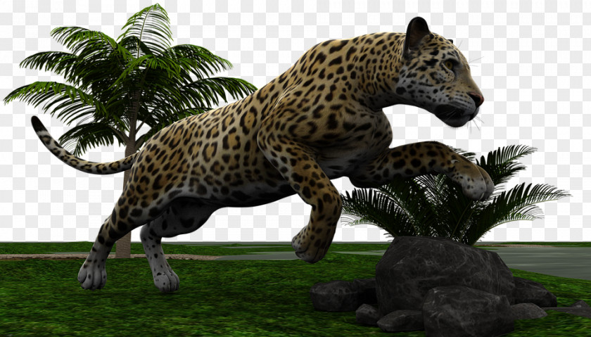 Leopard Hunt Jaguar Cars Wildcat PNG