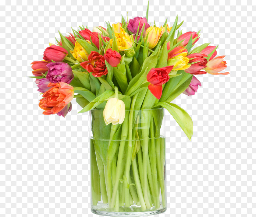 Tulip Indira Gandhi Memorial Garden Flower Bouquet Stock Photography PNG