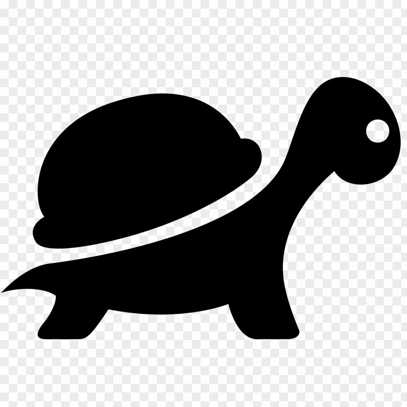 Turtle Reptile Download PNG