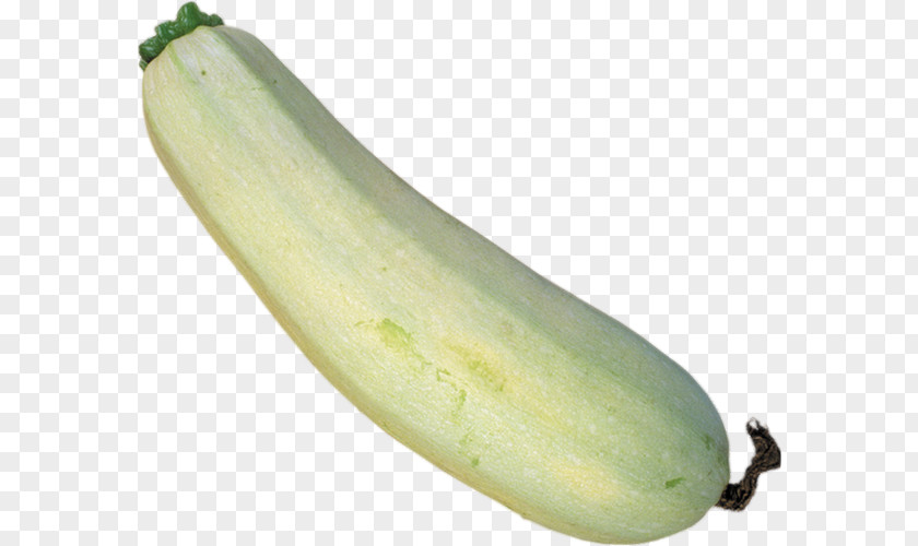 Zuchini Cucumber Wax Gourd Summer Squash Winter PNG