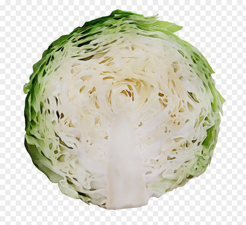 Leaf Vegetable Celeriac Cabbage Iceburg Lettuce Food Wild PNG