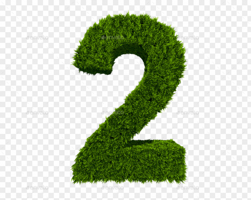 Tree Number Shrub Leaf PNG