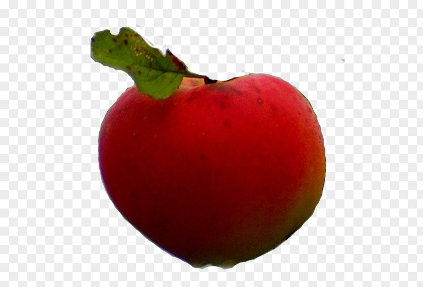 Lira Apple Accessory Fruit Food Pome PNG
