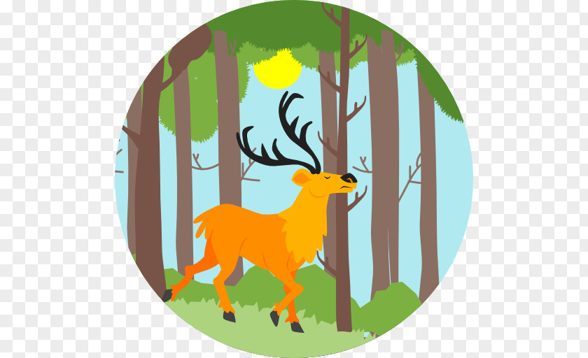 Nature Forest Clip Art PNG