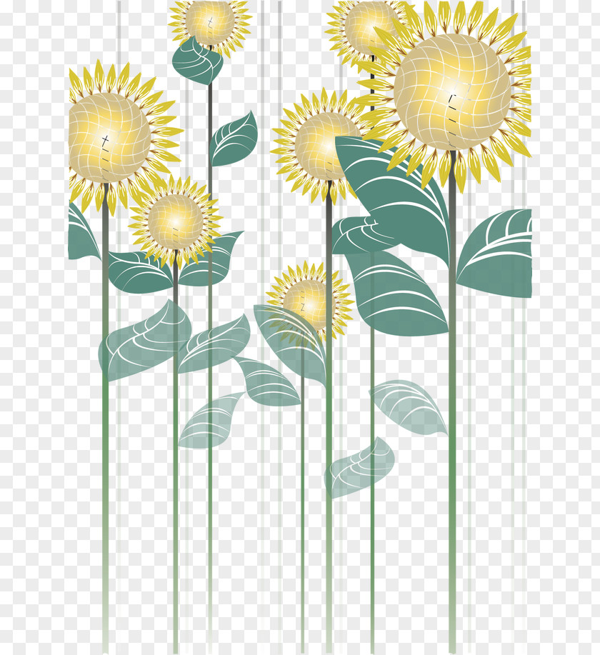 Sunflower Common Red Texture Mapping PNG