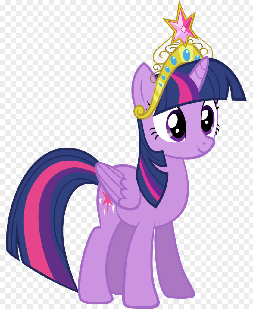 Twilight Sparkle Pinkie Pie Pony Rarity Rainbow Dash PNG