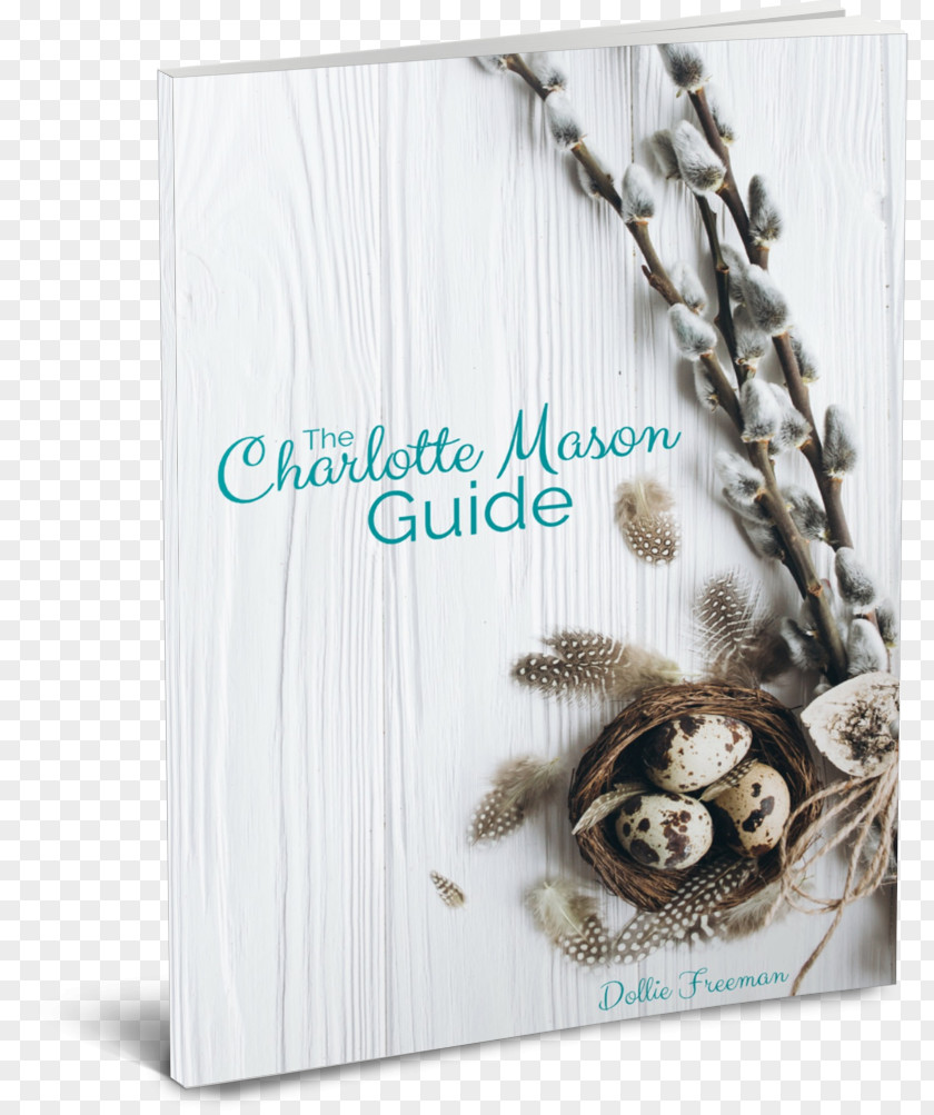Charlotte Mason Homeschooling Curriculum Picture Frames Culture Font PNG