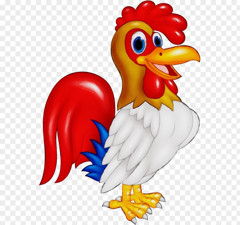 Chicken Bird Rooster Beak Animal Figure PNG