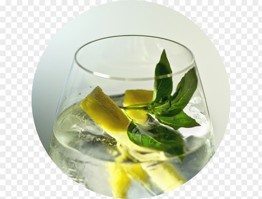 Cocktail Garnish Iron Balls Gin Distillery And Tonic Water PNG