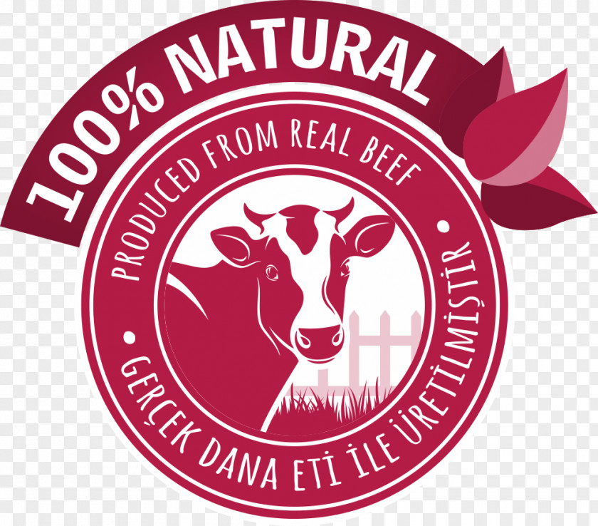 Dried Pork Slice Karate Shotokan Logo Evangelical Theological College Of The Philippines Pacchamama PNG