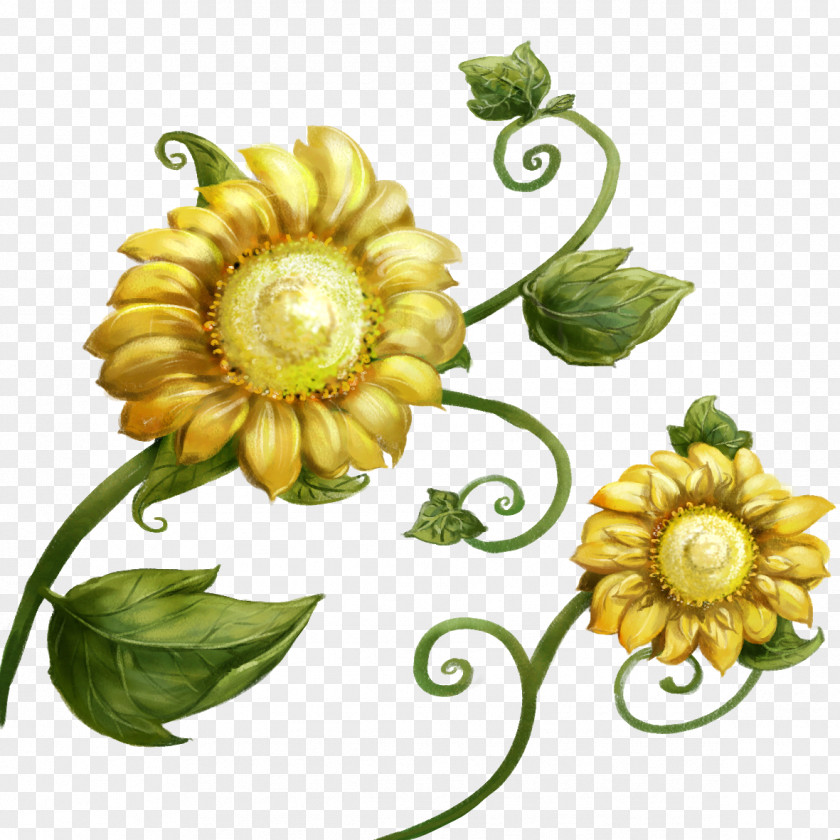 Hand-painted Sunflower Child Desktop Computer Display Resolution High-definition Television Wallpaper PNG