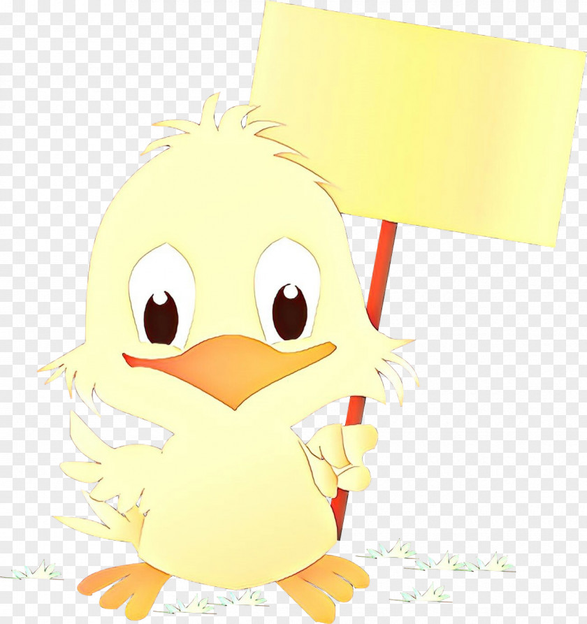 Image Photography Clip Art Chicken Illustration PNG