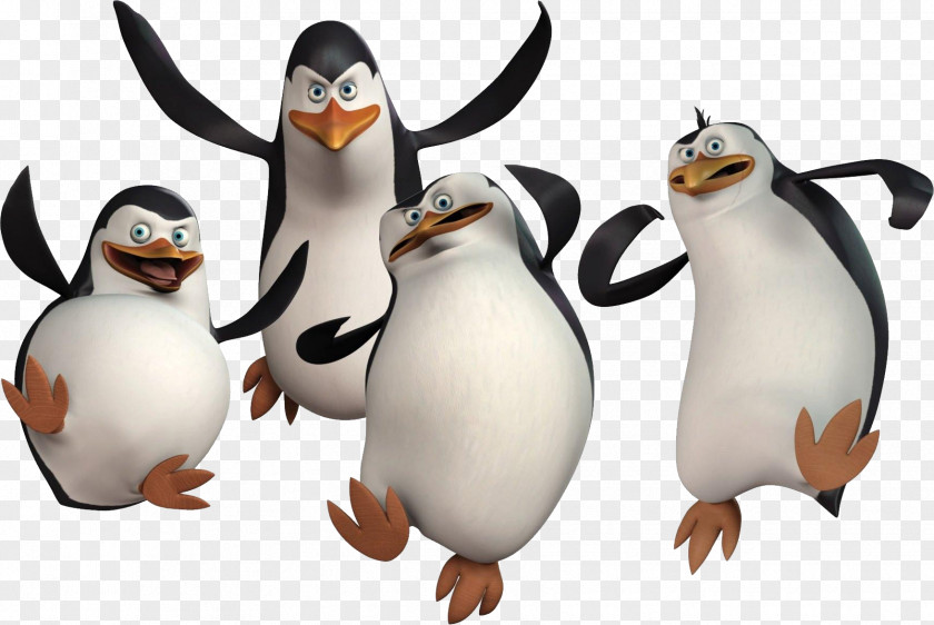 Madagascar Penguins Penguin Clip Art PNG