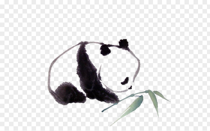 Panda Giant Red Drawing Painting Sketch PNG