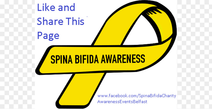 Spina Bifida Awareness Ribbon Turner Syndrome PNG