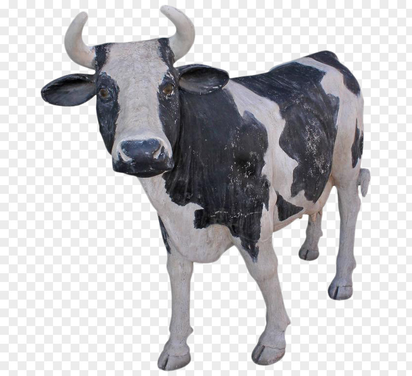 Bull Dairy Cattle Ox PNG