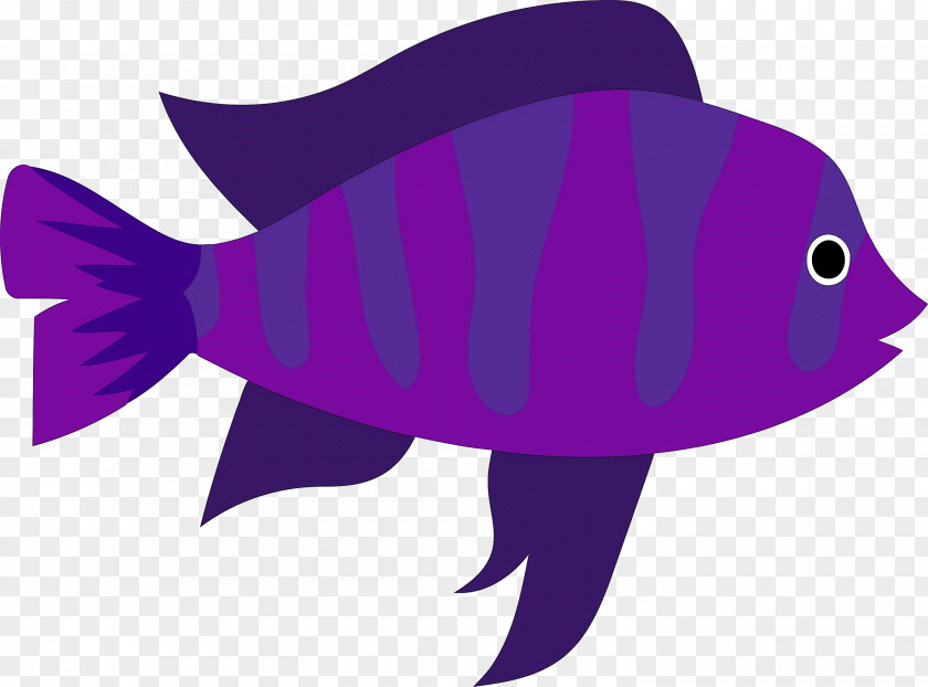 Cartoon Fish Tail Biology Science PNG