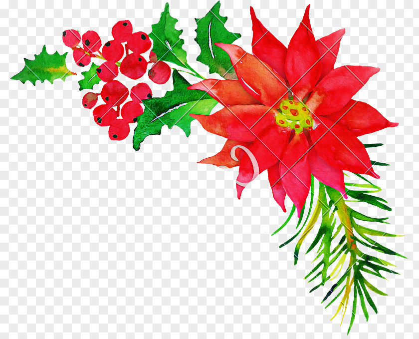 Floral Design PNG