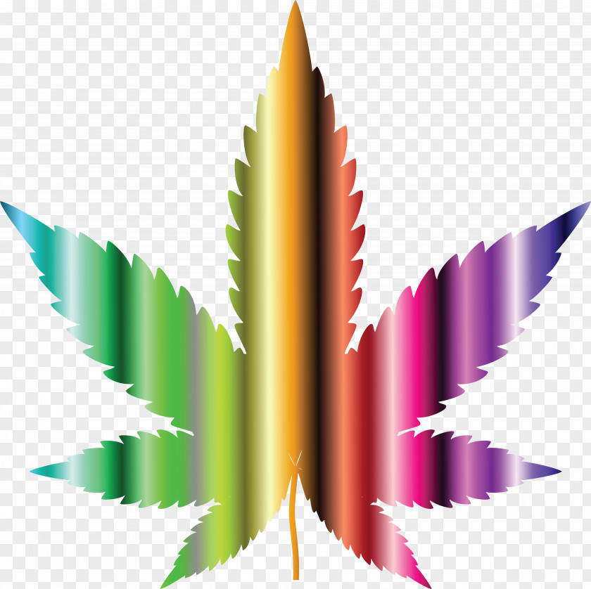 Graphic Cannabis Clip Art PNG