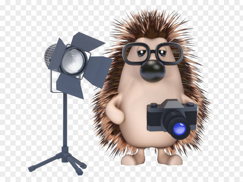 Holding The Camera's Hedgehog Stock Photography Illustration PNG