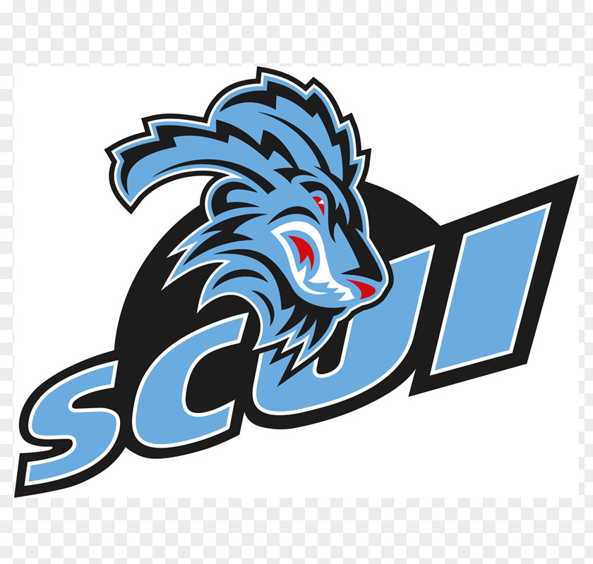 Logo National Hockey League Ice SC Bern Unterseen PNG