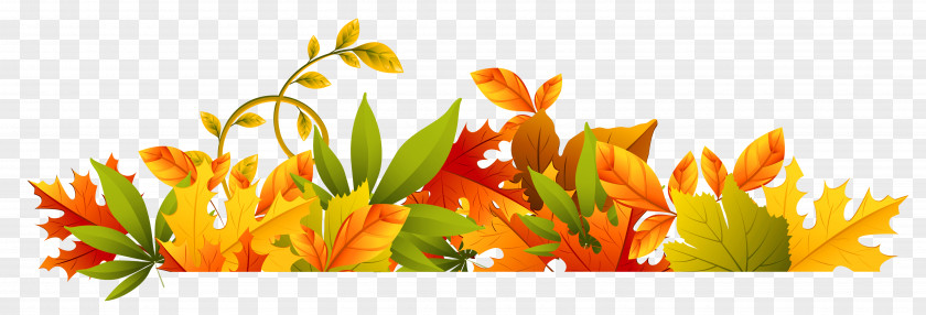 Thanksgiving Border Cliparts Autumn Clip Art PNG