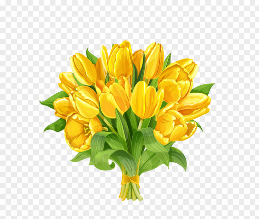Yellow Tulips Indira Gandhi Memorial Tulip Garden Flower Bouquet PNG