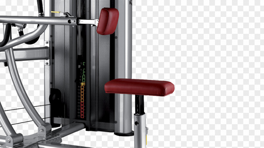 Cherry Pull Down Row Exercise Equipment Fitness Centre Bench Strength Training PNG