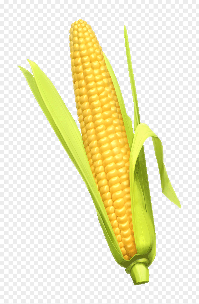 Corn Images Clip Art On The Cob Whiskey Cornbread Maize PNG