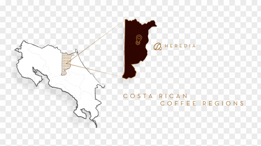 Costa Rica Economic Activity Logo Brand Font Product Design Angle PNG