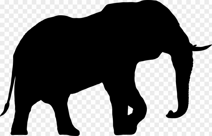 Elephant Silhouette PNG silhouette clipart PNG