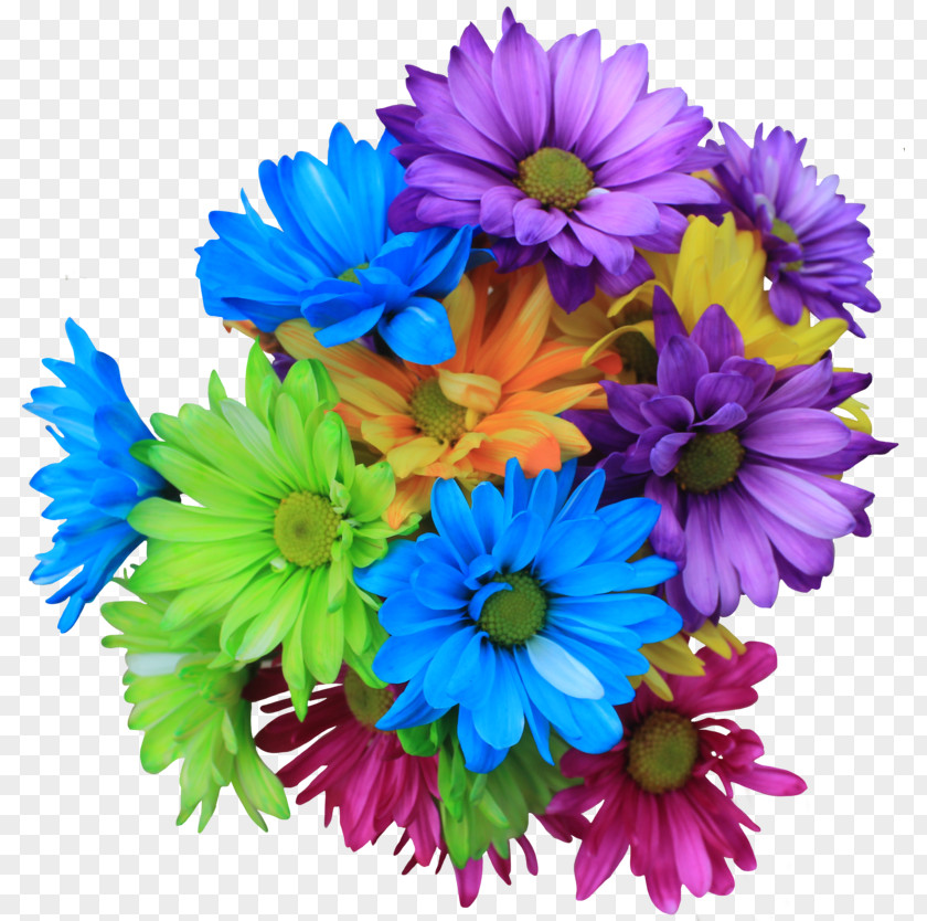 Flower Bouquet Transvaal Daisy Family PNG